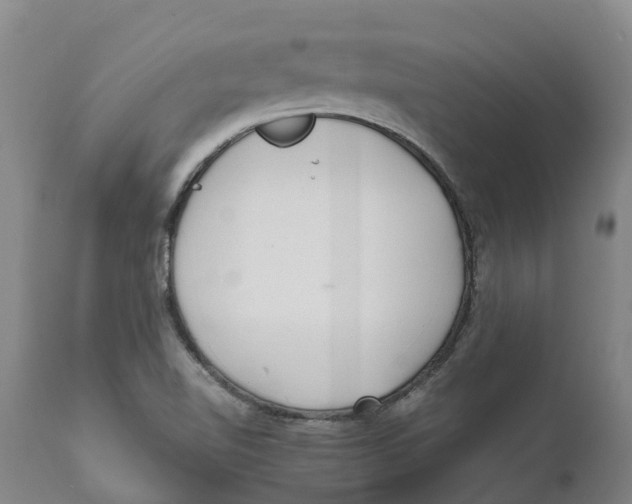 X0000111631510200908141330