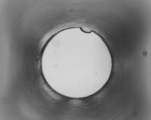 X0000111631511200908141330