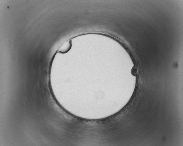 X0000111631512200908141330