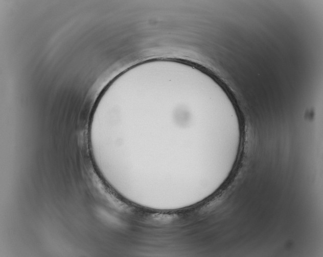 X0000111631513200908141330