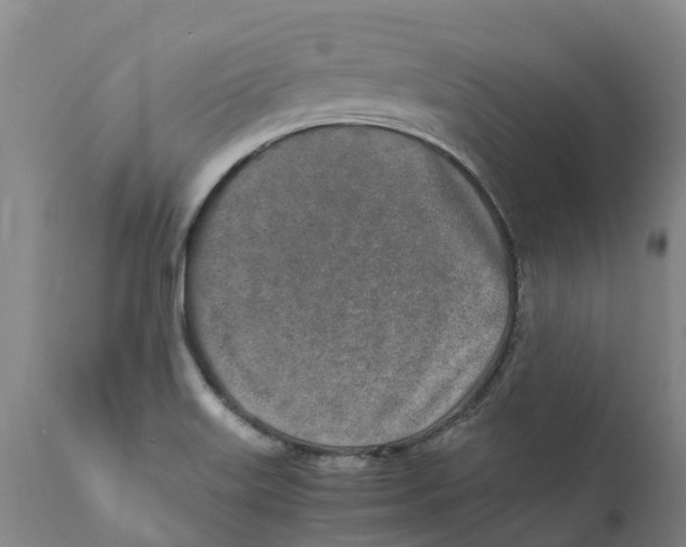 X0000111631515200908141330