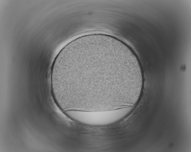 X0000111631516200908141330