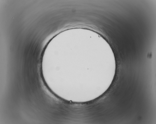 X0000111631518200908141330