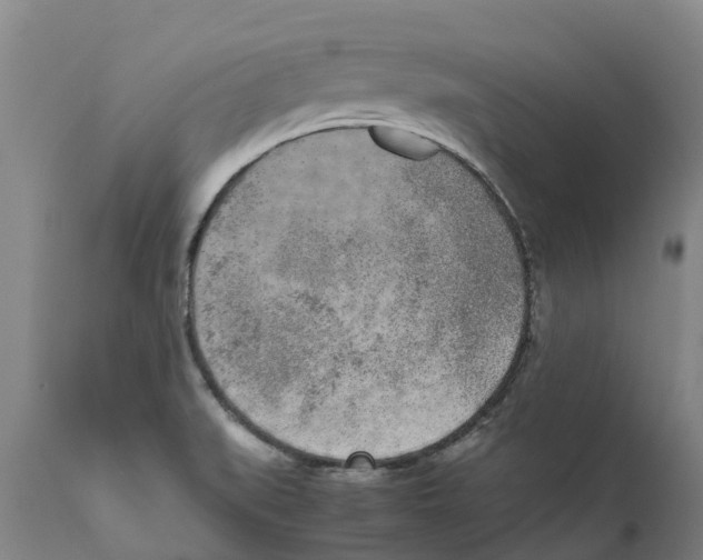 X0000111631519200908141330