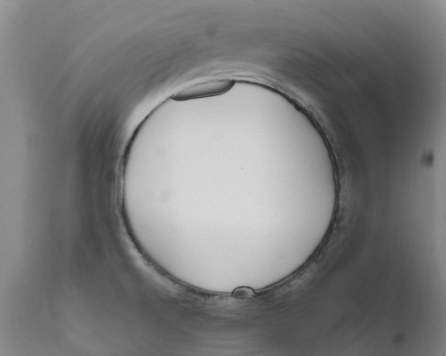 X0000111631520200908141330