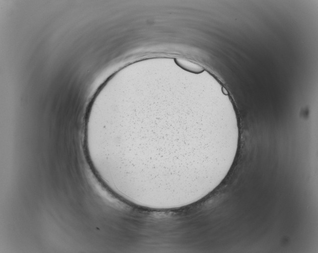 X0000111631523200908141330