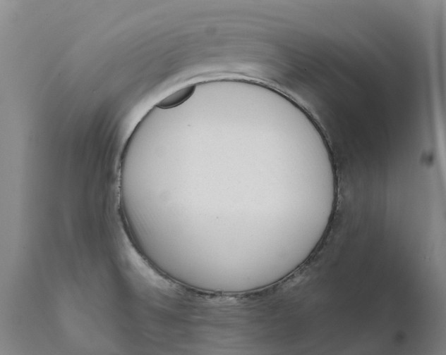 X0000111631524200908141330