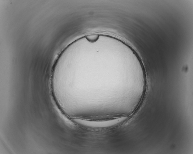 X0000111631525200908141330