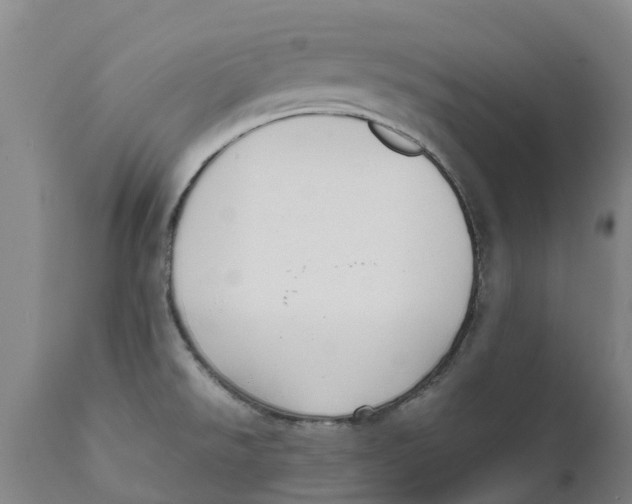 X0000111631526200908141330