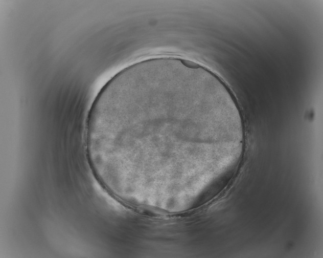 X0000111631527200908141330
