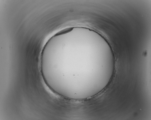 X0000111631528200908141330
