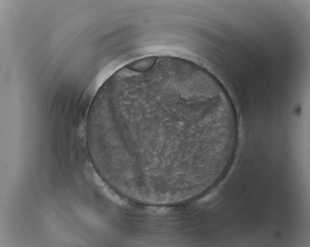 X0000111631529200908141330