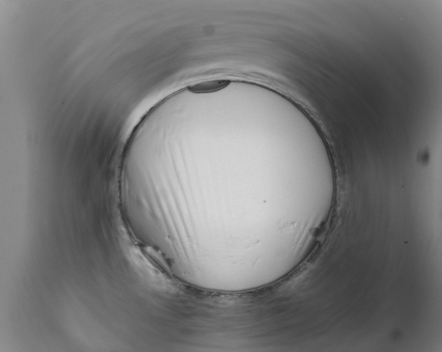 X0000111631530200908141330