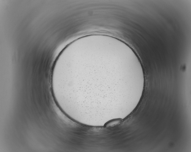 X0000111631531200908141330