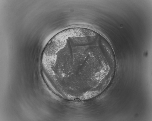 X0000111631533200908141330