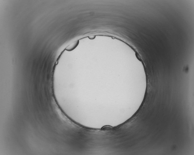 X0000111631534200908141331