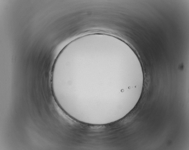 X0000111631535200908141331