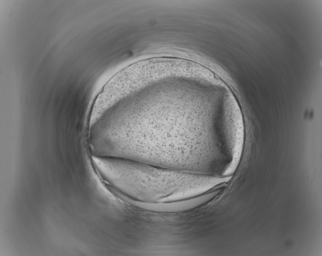 X0000111631536200908141331