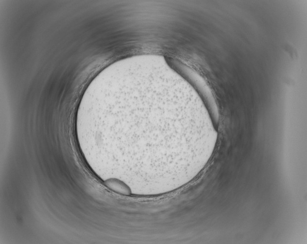 X0000111630001200908281145