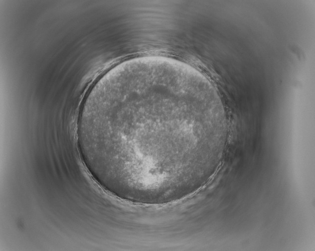 X0000111630002200908281145
