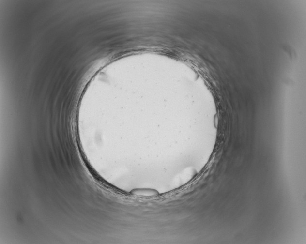 X0000111630003200908281145