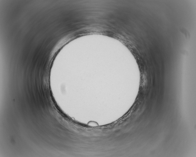 X0000111630004200908281145