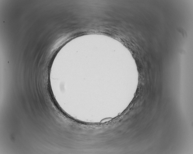 X0000111630005200908281145