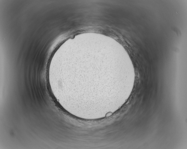 X0000111630006200908281145