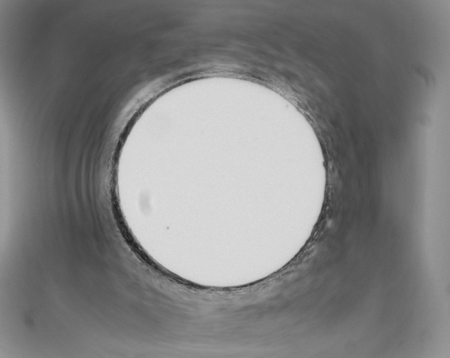 X0000111630007200908281145