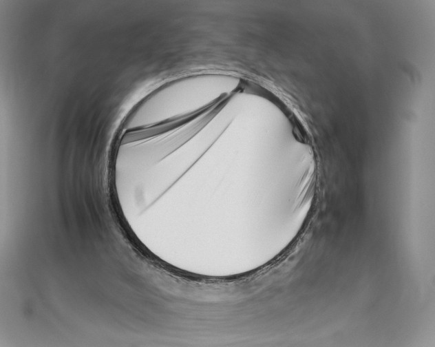 X0000111630008200908281145