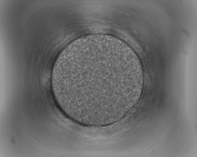 X0000111630009200908281145