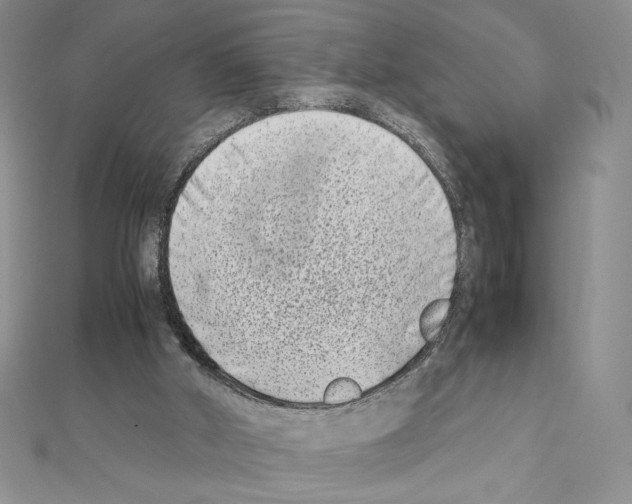 X0000111630010200908281145