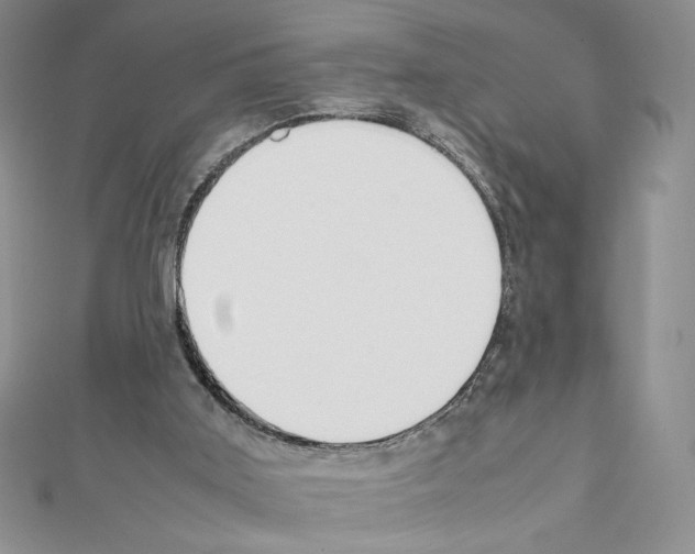 X0000111630011200908281145