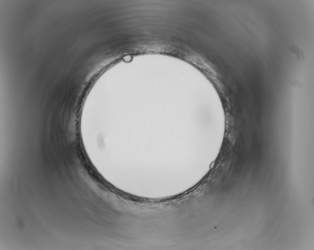 X0000111630012200908281145