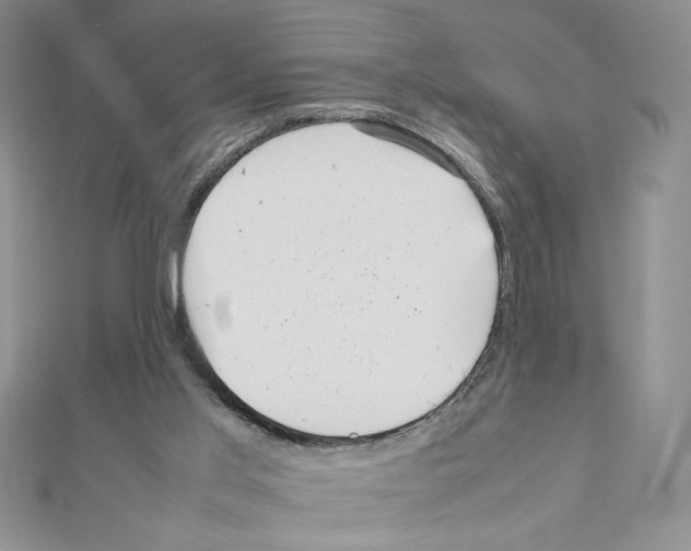 X0000111630013200908281145