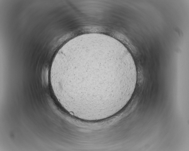 X0000111630014200908281145