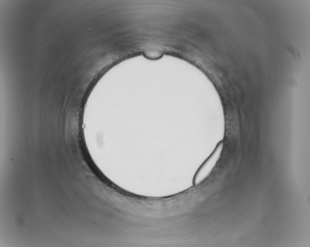 X0000111630015200908281145