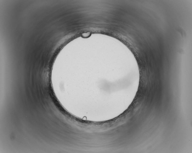 X0000111630016200908281145