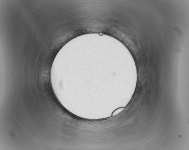 X0000111630017200908281145