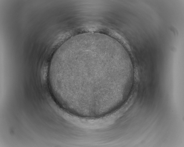X0000111630018200908281145