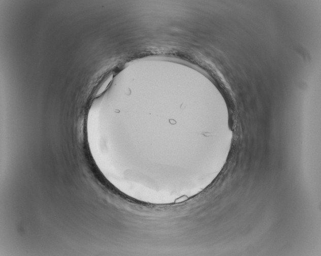 X0000111630019200908281145