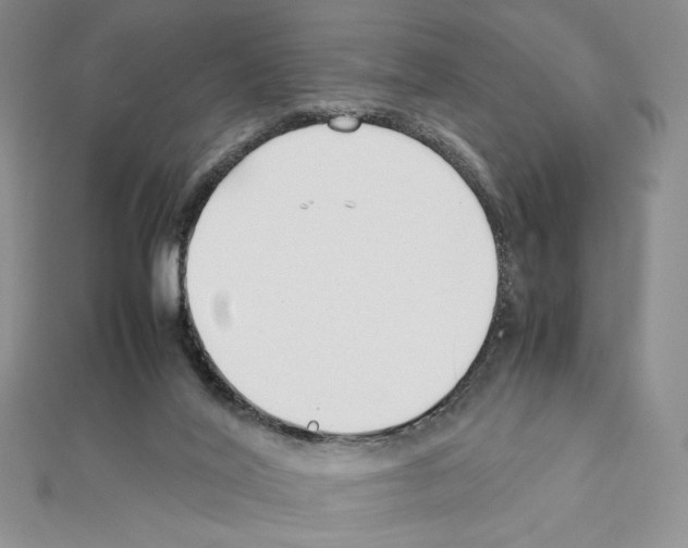 X0000111630020200908281145