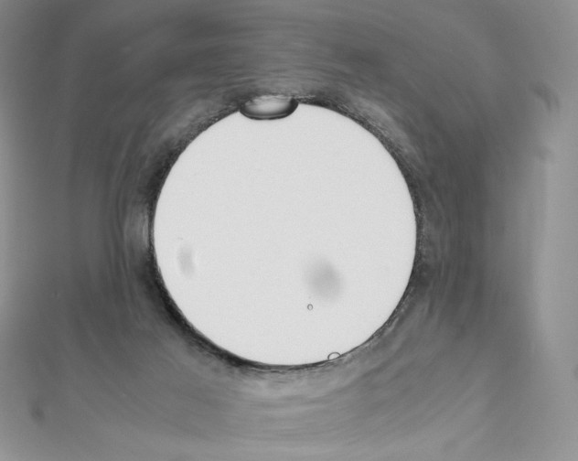 X0000111630021200908281145