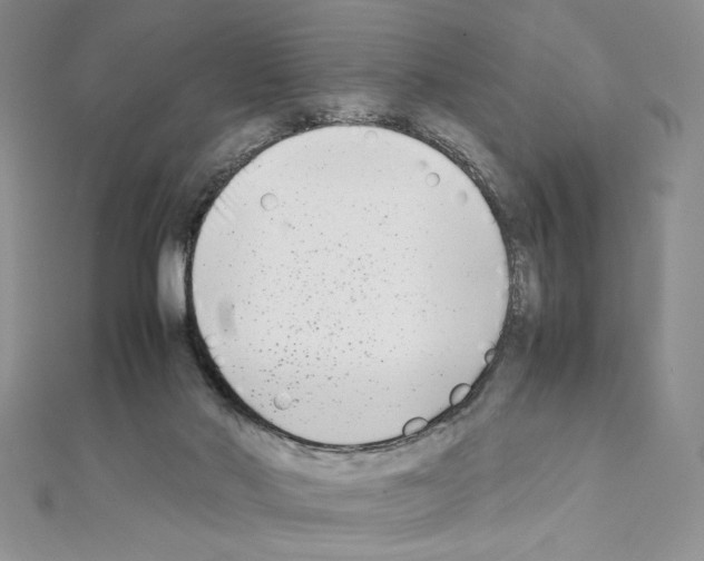 X0000111630022200908281145