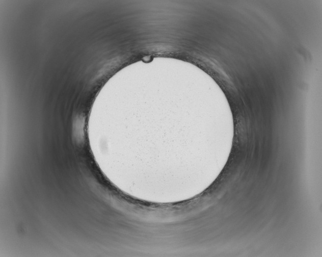 X0000111630024200908281145