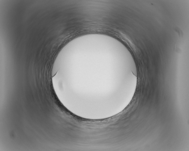X0000111630025200908281145
