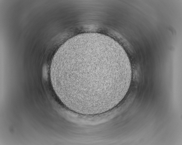 X0000111630026200908281144