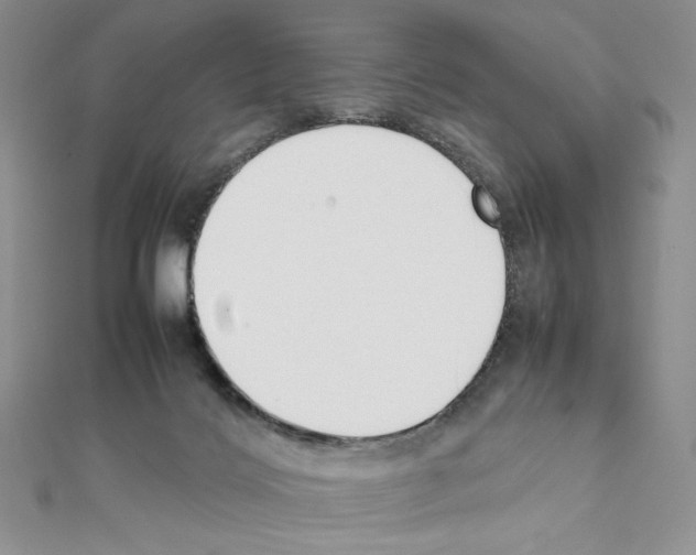 X0000111630028200908281144