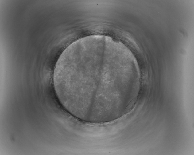X0000111630029200908281144