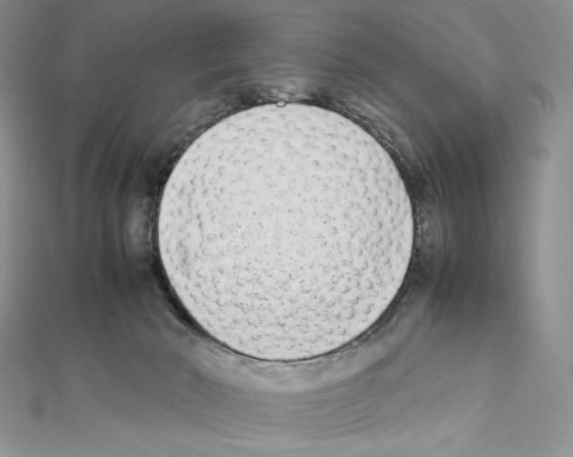 X0000111630030200908281144